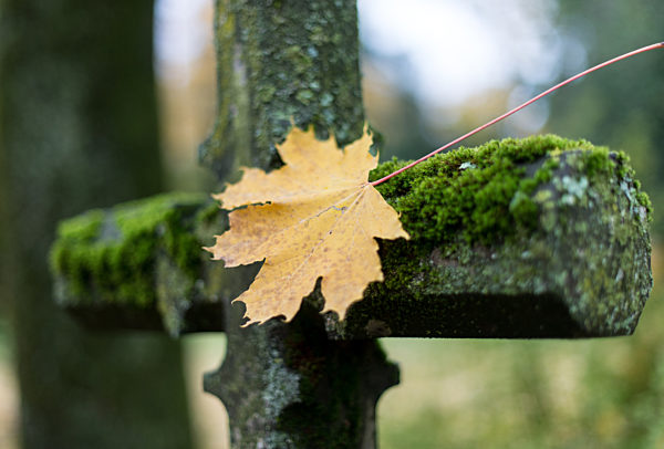 Alter Friedhof in Freiburg