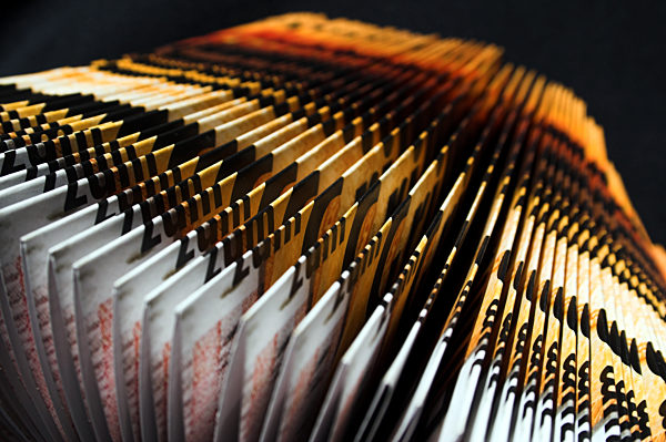 carton,printed,leaflet