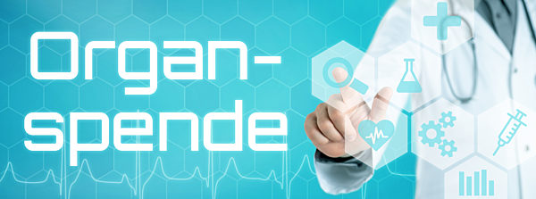 organspende