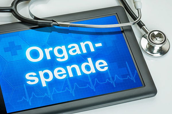 organspende