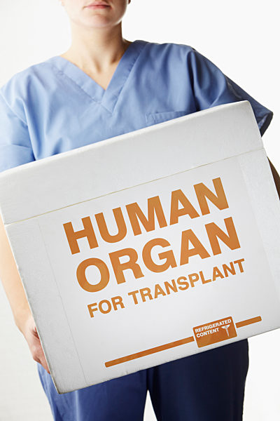 krankenschwester;organspende;transplantation