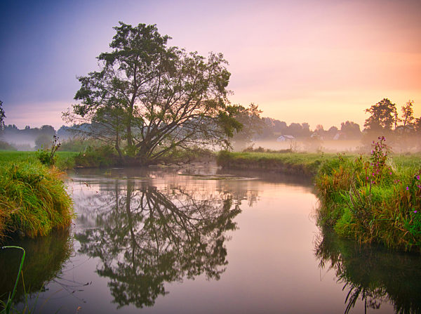 sunrise;riverbank;morning fog