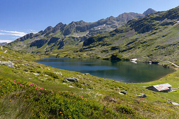 lower tauern