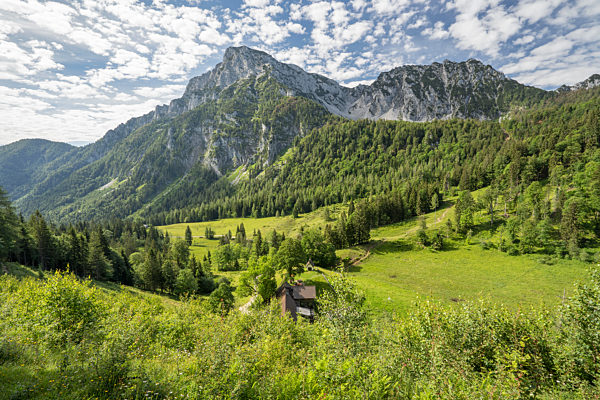 steiner alm;staufen;chiemgau alps