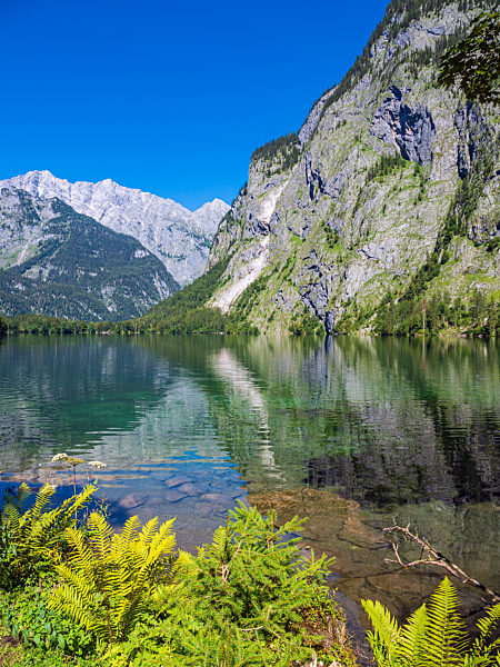 mountain lake;obersee