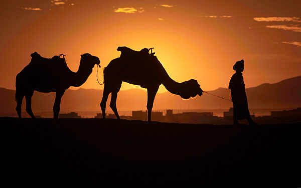 abendstimmung;kamele;karawane;marokko