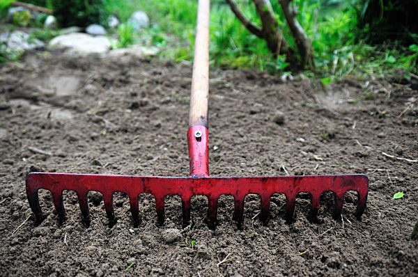 gardening, rake, rake