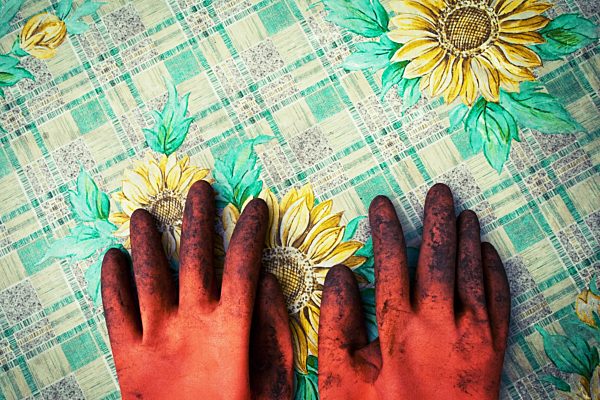 gloves, garden gloves