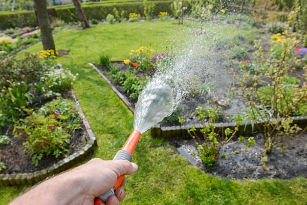 gardening, watering, garden hose