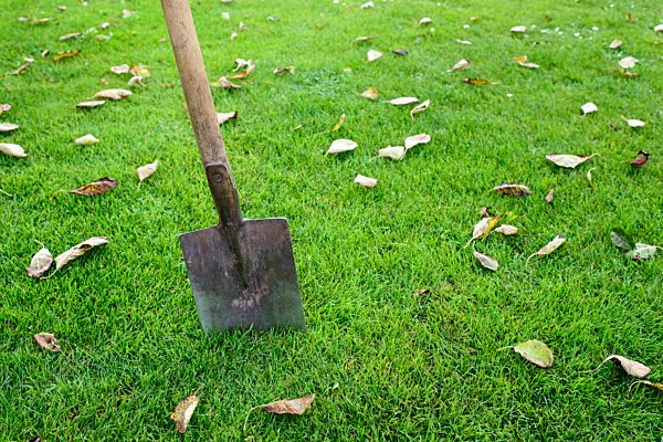 lawn, shovel, gardening