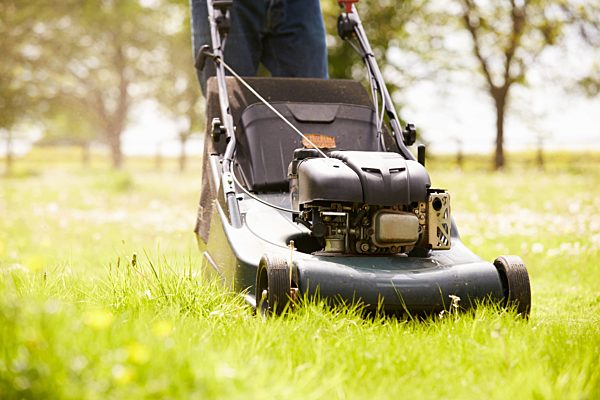 garden equipment, lawn mower, lawn mowing