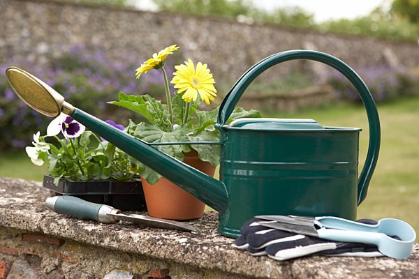 gardening, garden equipment, watering can
