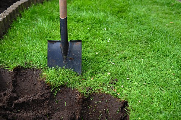 lawn, spade, topsoil