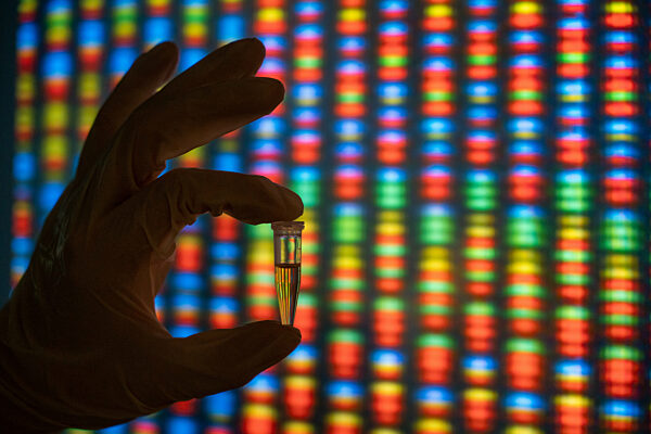 DNA test