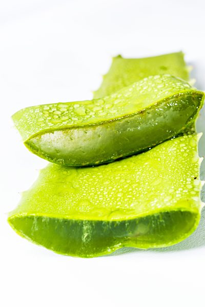 Aloe vera