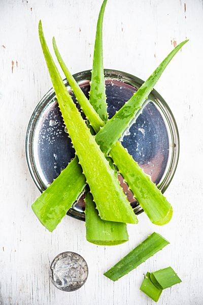 Aloe vera