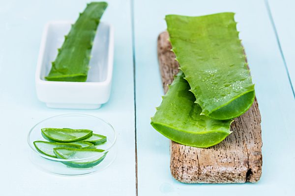 Aloe vera
