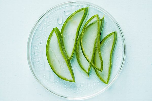 Aloe vera