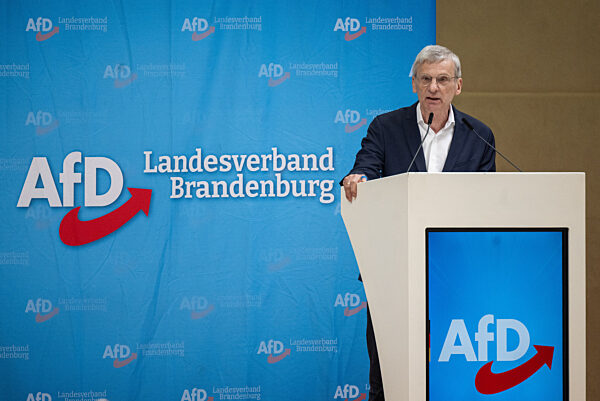 Landesparteitag AfD Brandenburg