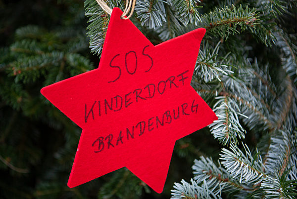 Weihnachtsbaum für SOS-Kinderdorf in Brandenburg