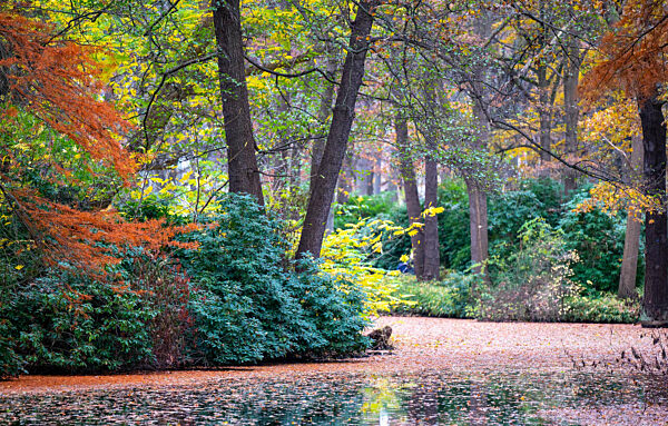 Herbst in Berlin