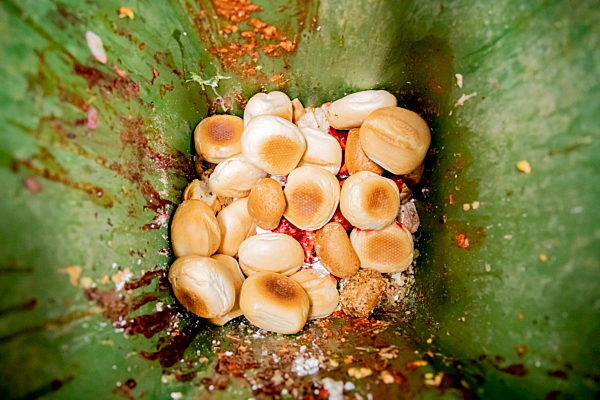 dpa-Story - Lebensmittelverschwendung