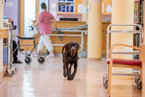Zum Tag der Pflege - Geriatrische Station Krankenhaus Havelhöhe