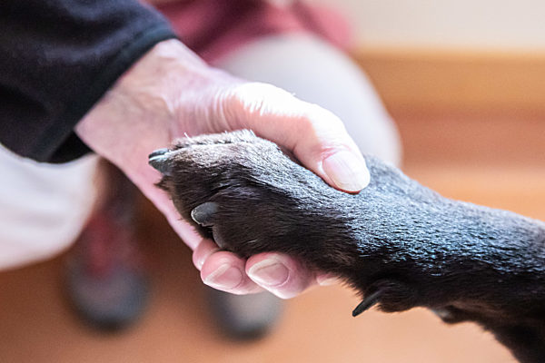 Zum Tag der Pflege - Geriatrische Station Krankenhaus Havelhöhe