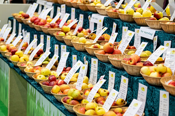 Äpfelsorten