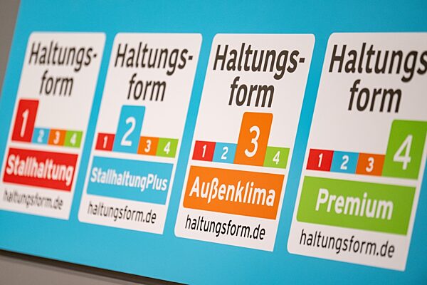 Vor der Grünen Woche 2024 - Initiative Tierwohl