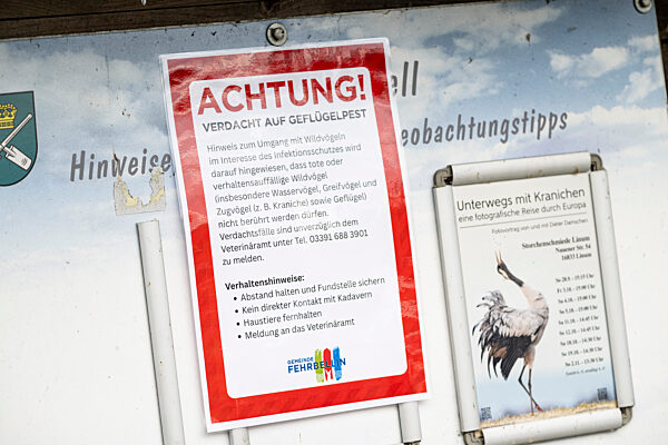 Weitere Entwicklung bei der Geflügelpest