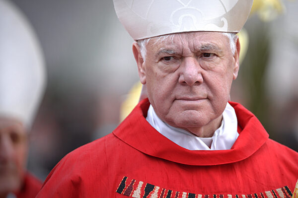 Pope Francis celebrates the Palm Sunday mass