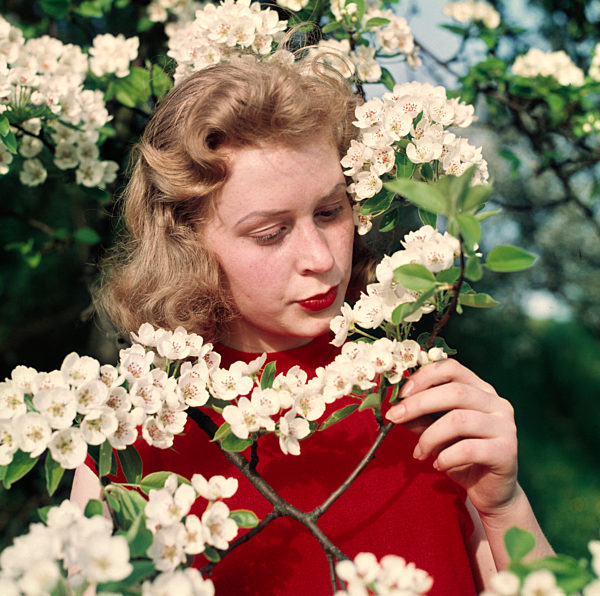 Junge Frau riecht an Birnblüten, 50er Jahre