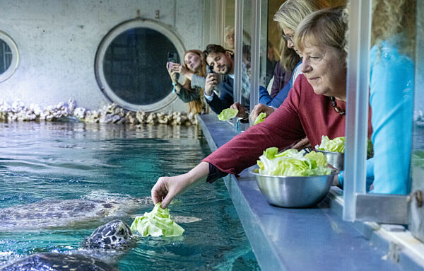 Angela Merkel in Stralsund
