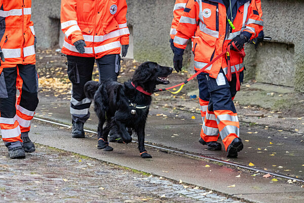 Fortsetzung der Suche nach Achtjährigem aus Güstrow
