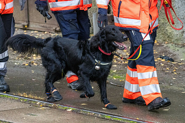 Fortsetzung der Suche nach Achtjährigem aus Güstrow