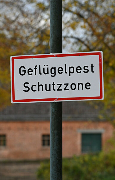 Vogelgrippe - Mecklenburg-Vorpommern