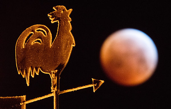 Totale Mondfinsternis - Niedersachsen