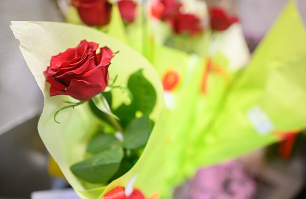 Vor dem Valentinstag