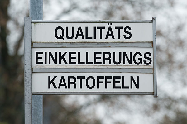 Qualitätseinkellerungskartoffeln