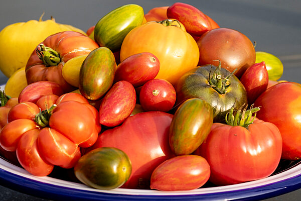 Birgit Arndts Tomatentraum