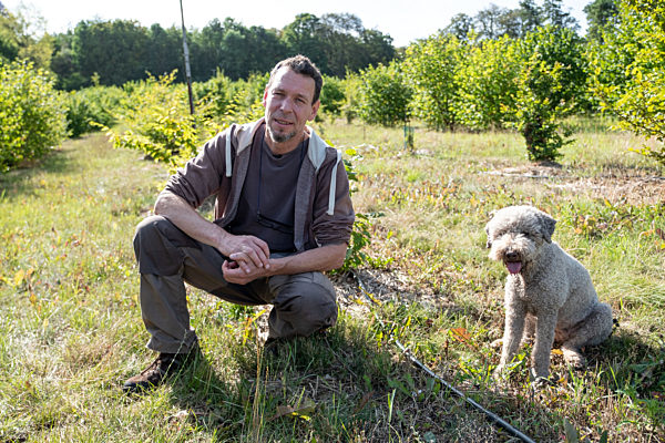 Erste Ernte auf Trüffelplantage