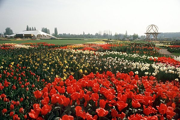 Bundesgartenschau in Frankfurt am Main