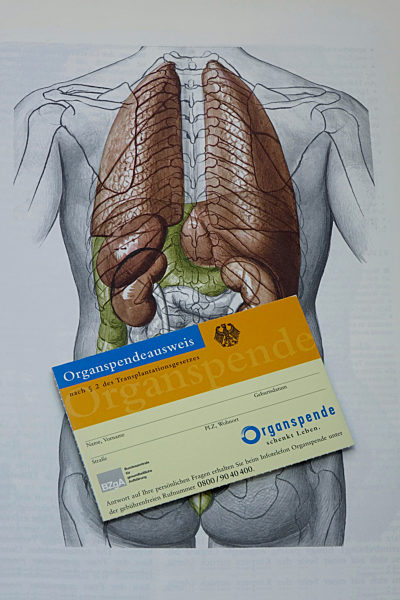 Organspendeausweis und menschliches Organsystem