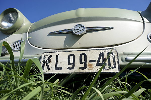 Borkheide - Murmeltreffen 2015