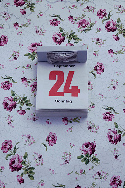 ILLUSTRATION - Bundestagswahl 2017