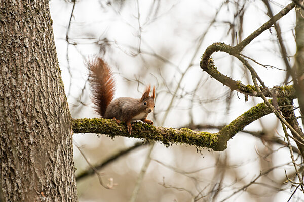 Wetter in Baden-Württemberg