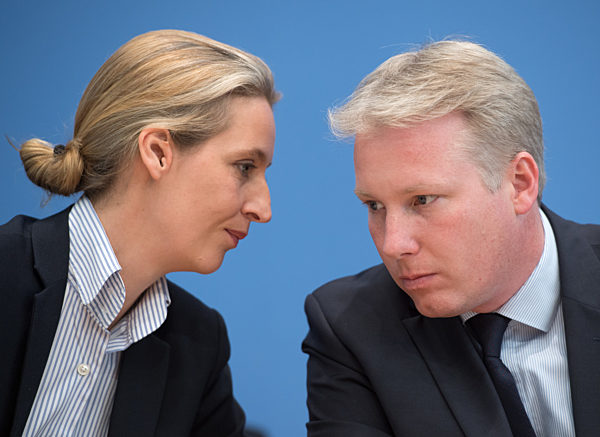 Nach der Wahl in Schleswig-Holstein - AfD