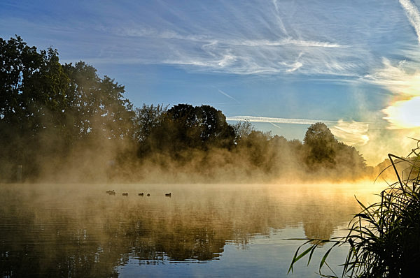 Frühnebel am Teltowkanal