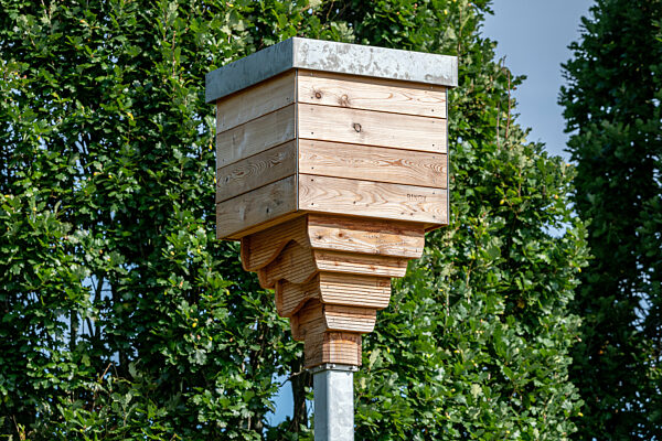 Fledermausturm in Schleswig